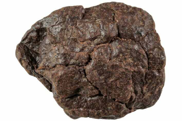 Chondrite Meteorite ( g) - Western Sahara Desert #224513